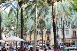 Die besten Häfen: Insider-Tipps für Barcelona – MORE THAN CRUISES